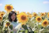 创意美术——合肥市行知小学教师个人专属校本课程系列报道