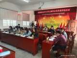 太湖县晋熙镇中心学校举行小学主题班会优质课评选