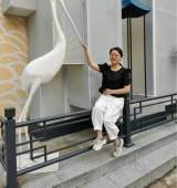知行合一 ? 立德樹(shù)人固本行動(dòng) ——合肥市行知小學(xué)教師優(yōu)秀讀書(shū)心得匯編之一