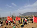 公益植树添新绿 劳动实践促双减 ——记蚌埠市张公山第三小学植树节活动
