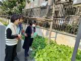 督学检查促提升 砥砺前行启新程——合肥市荣城幼儿园教育集团丽水分园迎接督学检查