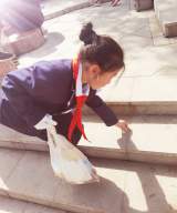 合肥市兴海苑小学：传承雷锋精神 争当环保卫士