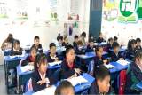 新苗綻放，盡吐芬芳——合肥市六安路小學(xué)榮城花園分校二年級語文“新苗”展示課活動