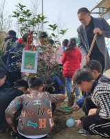 怀远县淝河学区太平小学开展“爱绿护绿，责任在我”植树节活动       