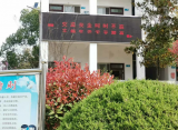 桐城市大关教育集团校卅铺中心小学：“安全教育日”扎实开展安全教育 