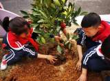 宁国市开发区实验学校开展植树节系列活动      