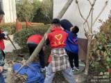 合肥市临泉路第二小学开展“我为校园添新绿”植树活动