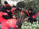 护绿使者在行动 —— 怀远县龙亢中学开展植树造林活动 
