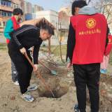 蚌埠九中“二十四节气”之惊蛰节气主题活动    
