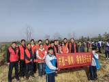 小手拉大手，巾幗植樹忙，志愿添新綠 —— 安師大附屬?gòu)]江三中開展“小手拉大手，共植一顆樹”活動(dòng)  