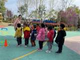 合肥市双岗幼儿园教育集团悦城分园开展运动中我眼中的孩子专题教研活动