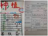 合肥市六安路小学中铁国际城校区四一中队春季小菜园开园