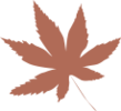 绿色，让城市更美丽            