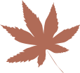 绿色，让城市更美丽            