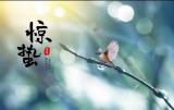 二十四节气•惊蛰——合肥市双岗幼儿园教育集团总园大三班课程故事