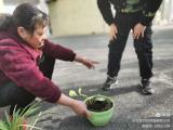 合肥市蚌埠路第四小学：党建引领 家校合力助成长