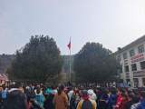 弘揚雷鋒精神  賡續(xù)精神血脈 —— 金寨縣梅山一小開展學(xué)雷鋒主題教育系列活動     