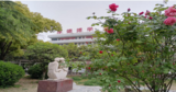 蒙城中学获评市级绿色学校