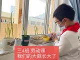 合肥市竹溪小学：劳动进课堂 教育更阳光