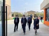 灵璧县政协深入灵城镇碧桂园幼儿园开展学前教育专题调研