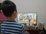 合肥市南门小学湖畔花园分校开展安全教育系列活动 