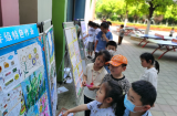 合肥市育新小学：不负“双减”好春光  各科作业显特色