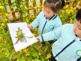 春天有信 花开有期 —— 灵璧县灵西中心幼儿园“探”春活动“美”育伴成长
