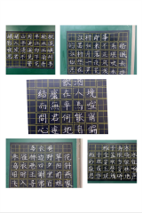 夯实教师基本功  合肥市育新小学在行动