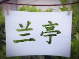合肥市长三小兰亭分校：万紫千红兰亭景   怡然自得现眼帘