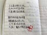 诗歌，用美丽的眼睛看世界——合肥市长江路第二小学栢景湾四一中队综合性学习主题活动