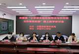 灵璧县举办“小学语文低年级写话与中年级习作有效衔接”线上教学研讨会