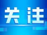 合肥：疫情期间在职教师有偿补课将从重处理