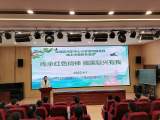 亳州市州东中心小学举行清明祭英烈系列活动    