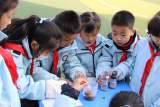 合肥市隆岗小学获安徽省科学调查体验活动优秀实施学校称号