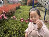 合肥市双岗幼儿园教育集团悦城分园：春暖花开月 幼见“美好”时
