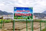 深化劳动教育 培育时代新人  ——岳西县和平中心学校开展系列活动多途径推进劳动教育