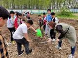 韦集镇藕庄小学开展劳动基地实践活动