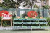   “蔬香乐园”放光芒，四河校园乐淘淘——合肥市四河小学开展劳动实践主题活动  