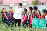 灵璧县娄庄镇长集葛店小学：劳动教育基地 体验收获快乐
