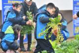 怎么上课？如何评价？聚焦中小学新版劳动课