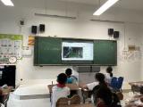 合肥市郎溪路小学举办"5.25心理健康日"活动
