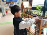 今年秋季安徽幼儿延时服务将全覆盖