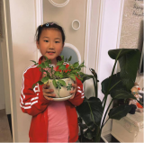 窗前那一抹绿 