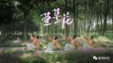 安徽巢湖：母亲节快乐！一起表白亲爱的她
