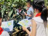 合肥市园上园小学开展一场与果树的“对话”