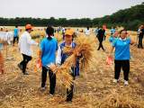 淮北市海宫学校体验午收文化 感受劳动乐趣   