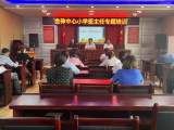 桐城市金神教育集团校金神中心小学开展班主任专题培训活动    