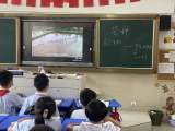 蟬鳴夏忙    風(fēng)吹麥浪——合肥市六安路小學(xué)中鐵國際城校區(qū)四3中隊開展二十四節(jié)氣“芒種”主題活動