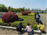 桐城市新渡教育集团校老梅初中开展劳动教育实践活动