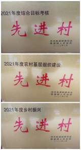 安徽衛(wèi)生健康職業(yè)學院選派幫扶村張溪鎮(zhèn)長畈村榮獲張溪鎮(zhèn)“2021年村級綜合目標管理先進村”等多項榮譽稱號     